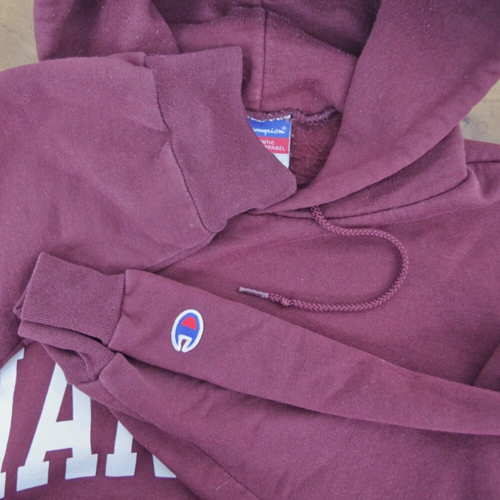 Y2K Harvard Champion Hooded Sweatshirt Small - Picture 4 of 7